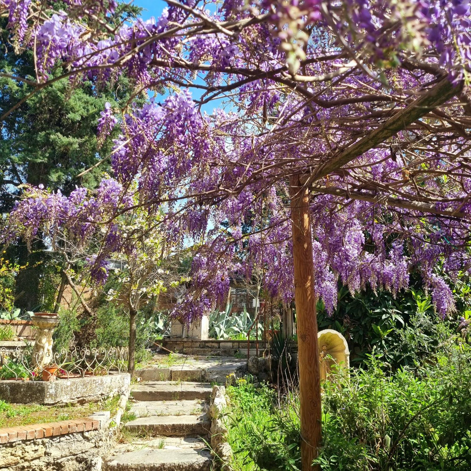Hotel San Francesco Rapolano Terme Zewnętrze zdjęcie